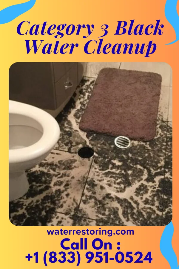 Category 3 Black Water Cleanup in Huntington Bay, NY
