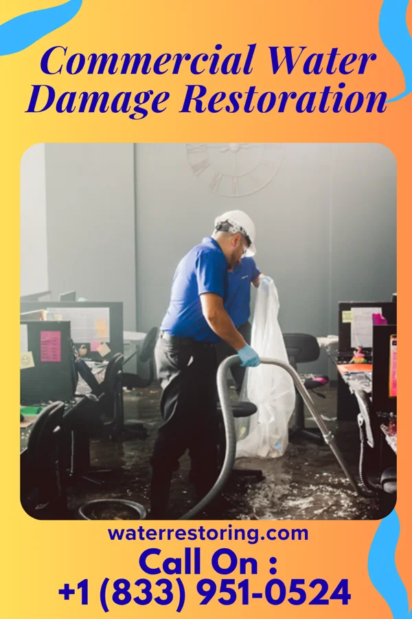 Commercial Water Damage Restoration in Huntington Bay, NY