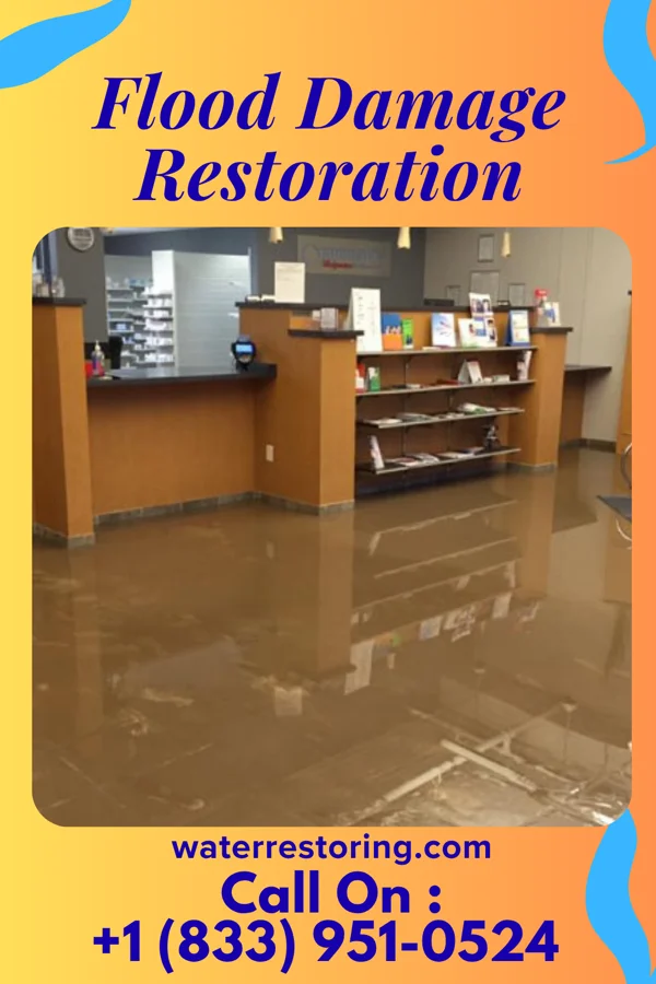 Flood Damage Restoration in Huntington Bay, NY