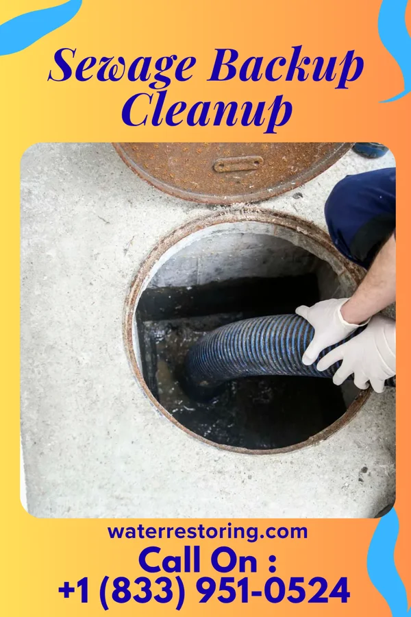 Sewage Backup Cleanup in Huntington Bay, NY