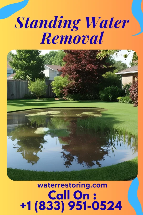 Standing Water Removal in Huntington Bay, NY